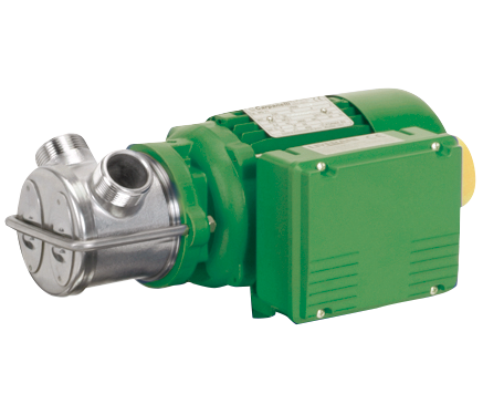 Seitenkanalpumpe EP NIRO 220/25, 2800 min-1, 230 V